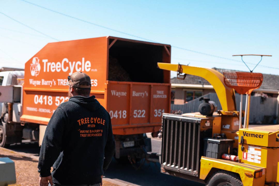 Tree removal project