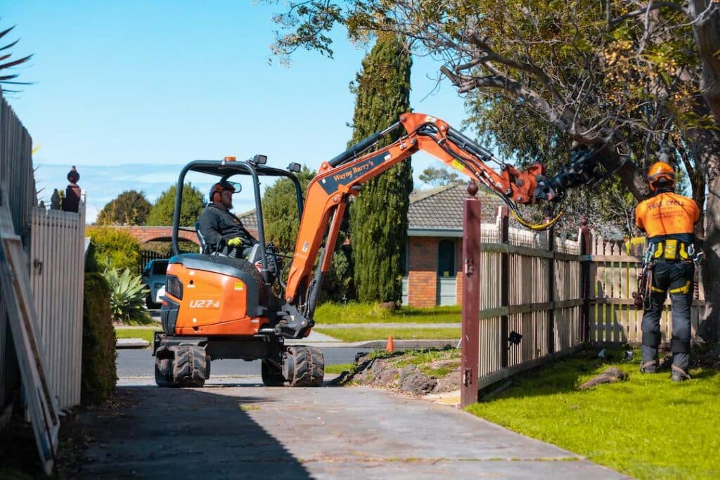 Stump grinding project
