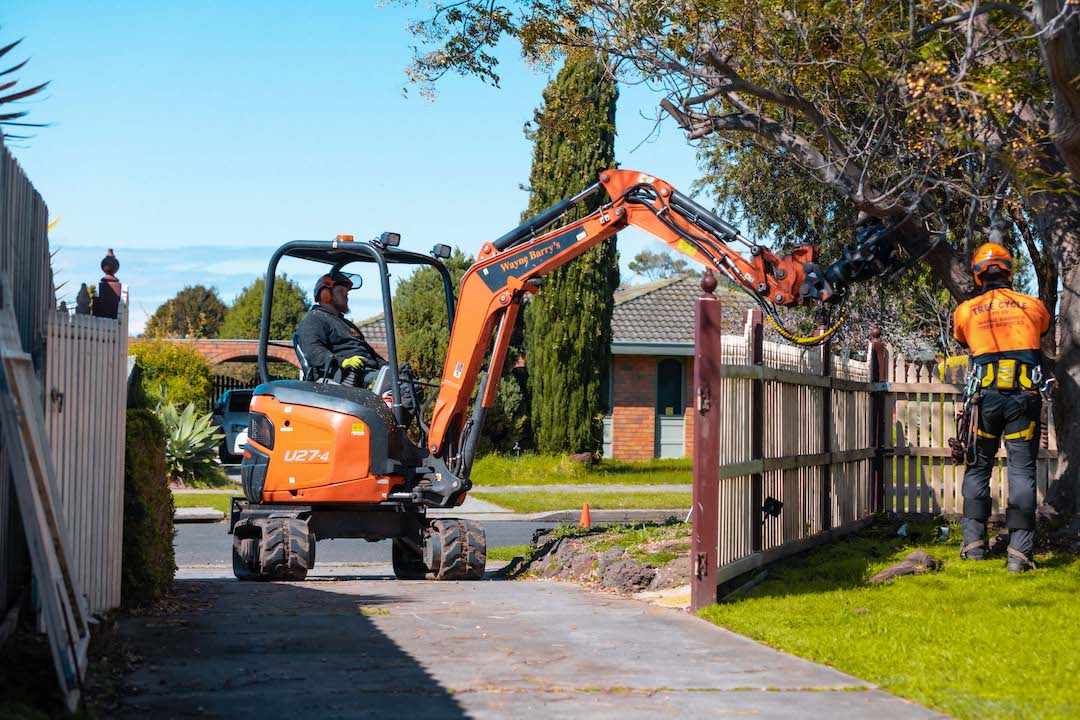 Tree clearing work