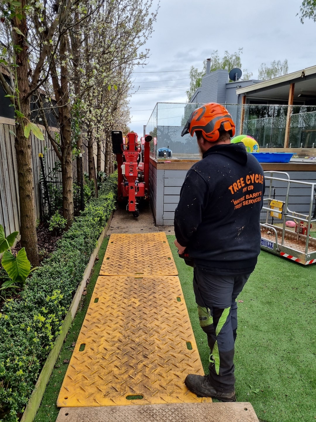 Tree Removal