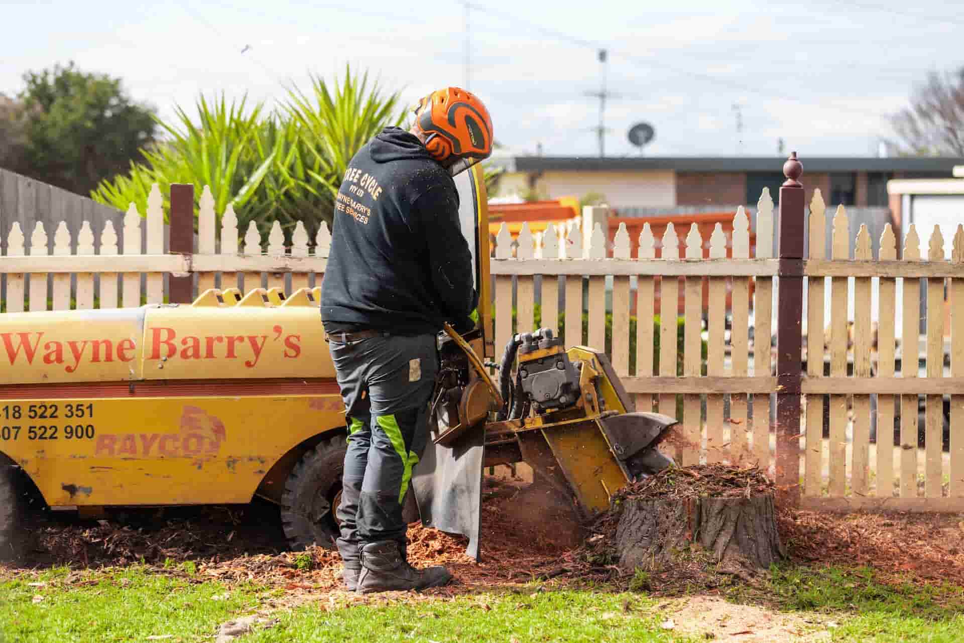 Tree Pruning